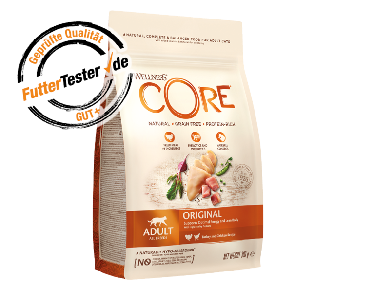 Wellness core kitten food hotsell